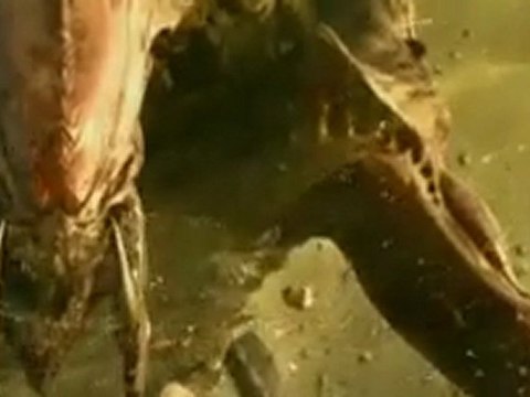 Starcraft II Wings of Liberty - Spot Ufficiale da Blizzard - HD ITA