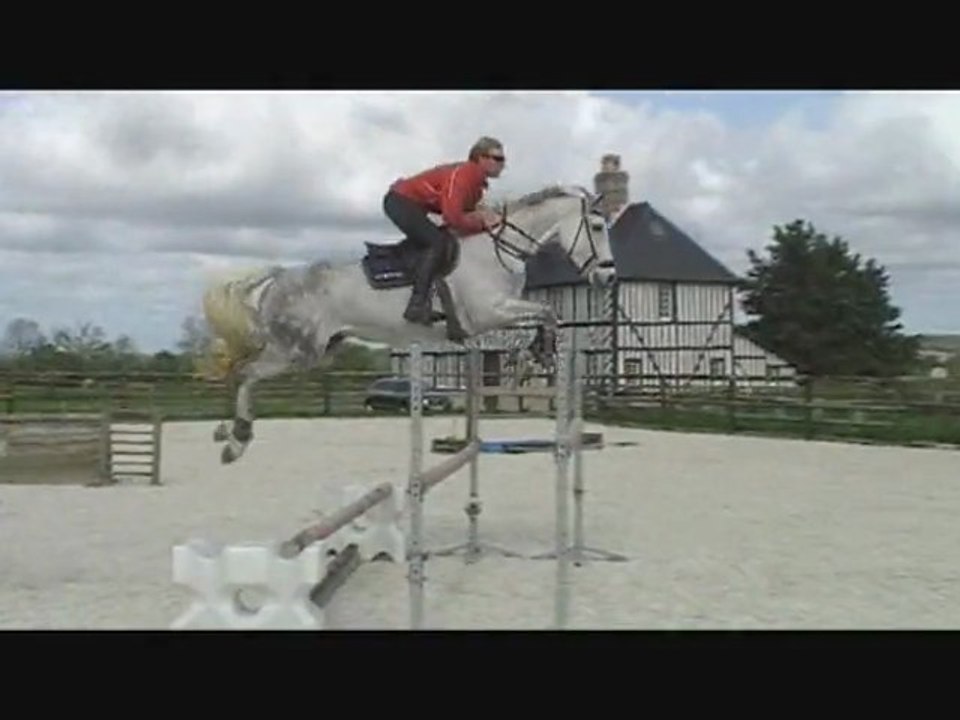 jument 6 ans a vendre cso