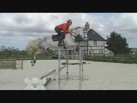 jument 6 ans a vendre cso