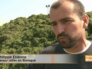 Filière luzerne déshydratée - Samuel Maignan (Coopédom) : « Nous préparons l’avenir de manière positive »