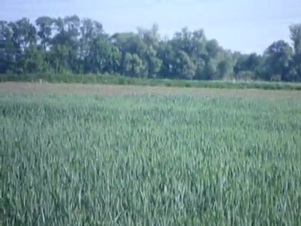 P1040164