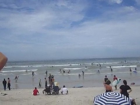 Alerte aux requins, Plage de Muizenberg, Afrique du sud
