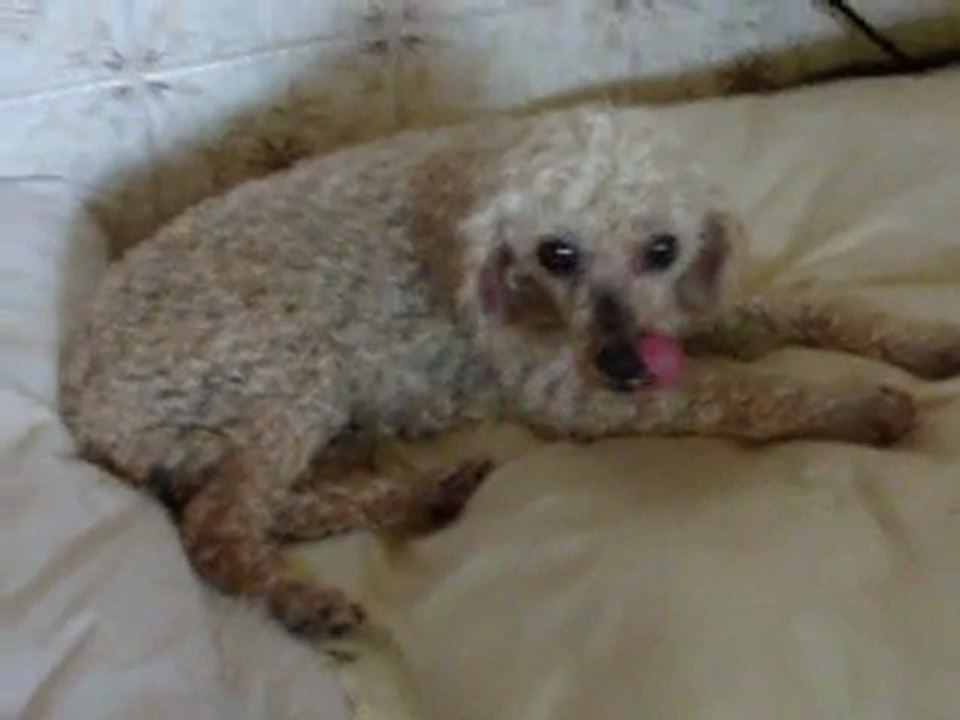 001 tia