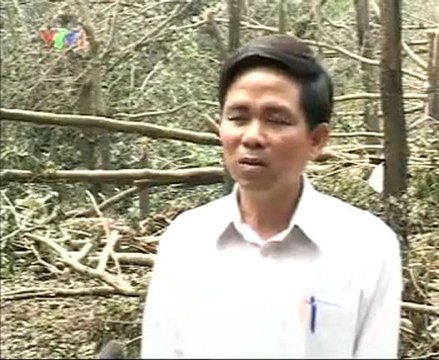 Tây Nguyên khôi phục sản xuất nông nghiệp sau bão