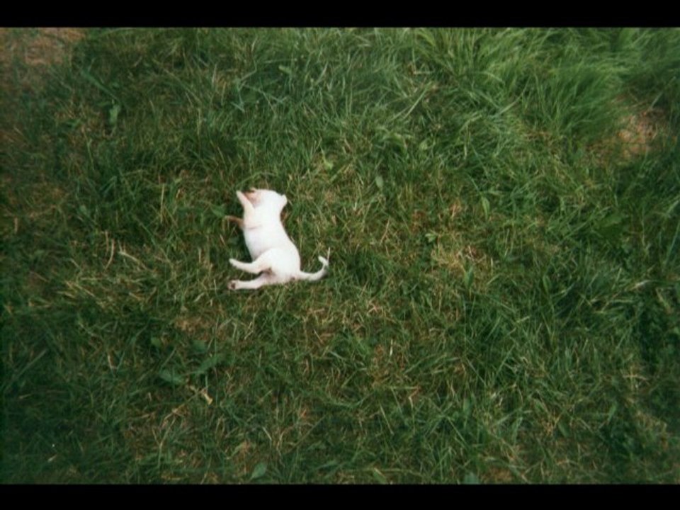 brigand bientot 1 an