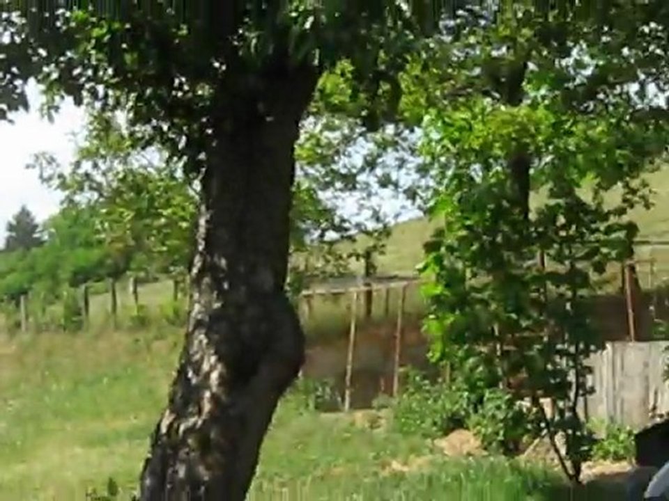 MVI_2768