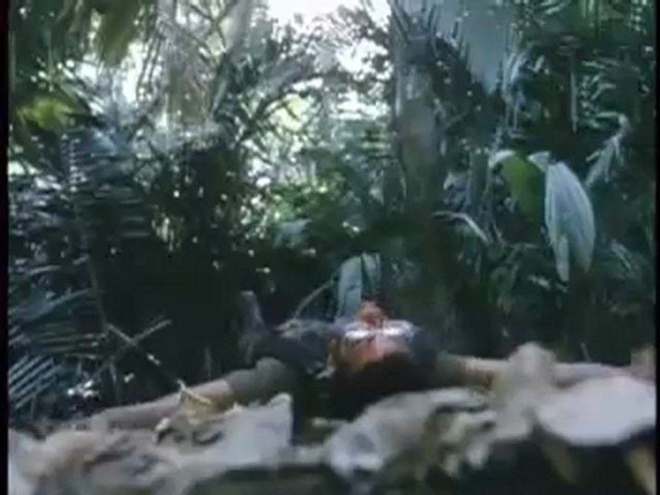 Predator