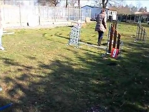 entrainement d'agility 2011 au Canis Club Pessacais Illacais