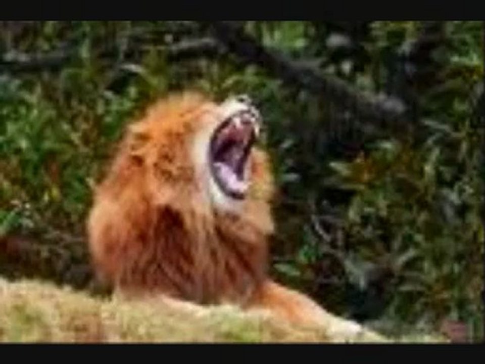 IL EST BON DE LOUER DIEU