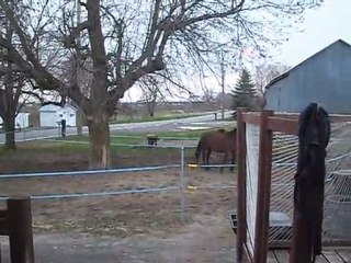 Saphira Girls Just Want to Have Fun