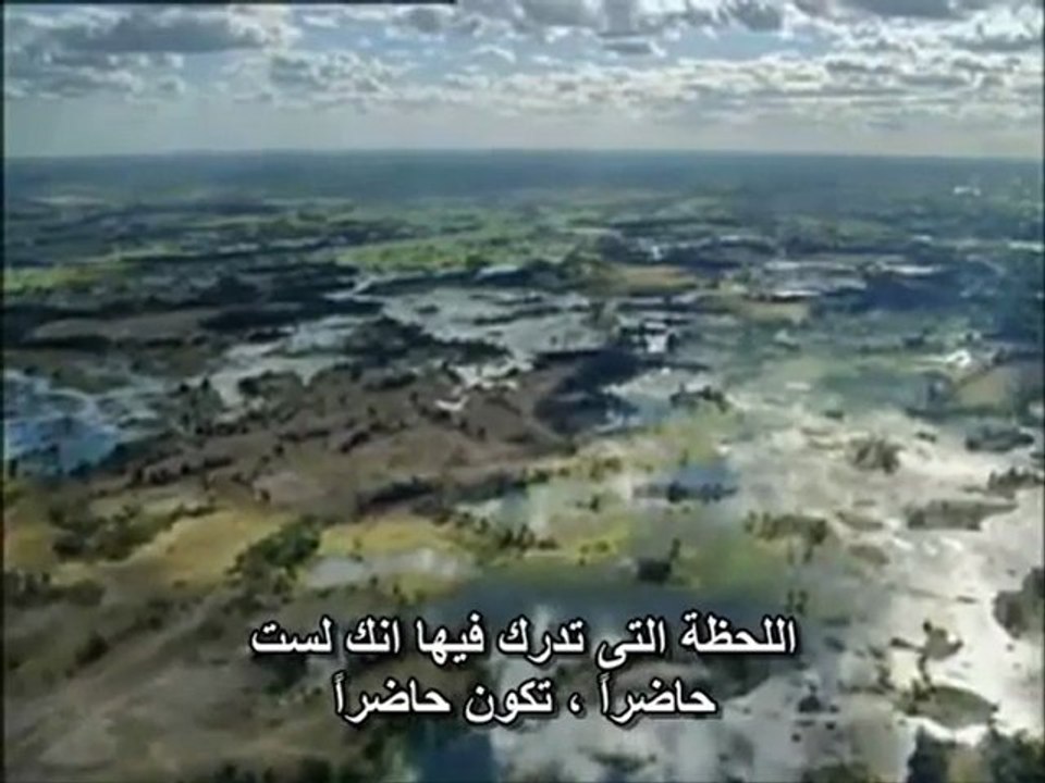إيكـارت تول   الحيـاة هي الآن