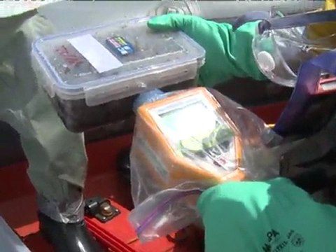 Japón: Greenpeace denuncia alto nivel de radiactividad en algas