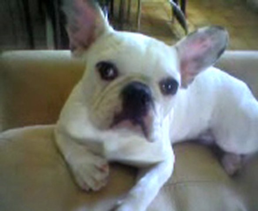 Video 09220002