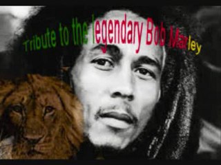 ZIGGY MARLEY-NATURAL MYSTIC