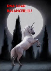 DNA LOAD BALANCER!!!!!!!