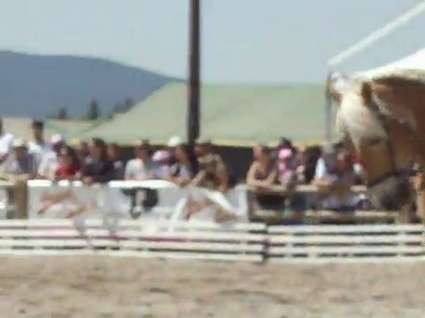 obstacle cheval d'azur samedi