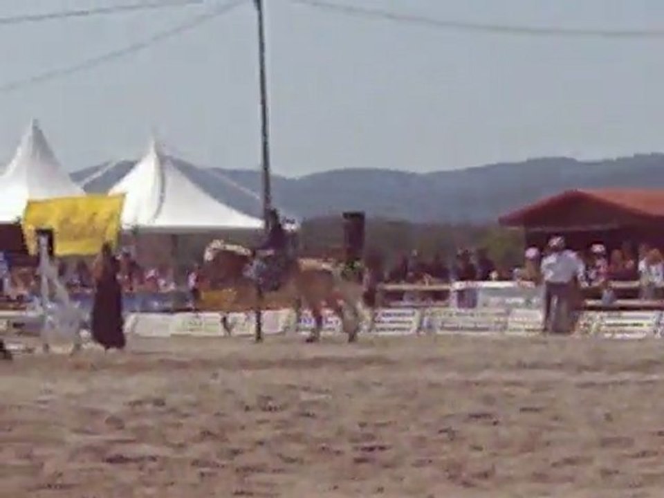 obstacle cheval d'azur dimanche