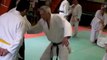 aoi-judo cours Jujitsu V001