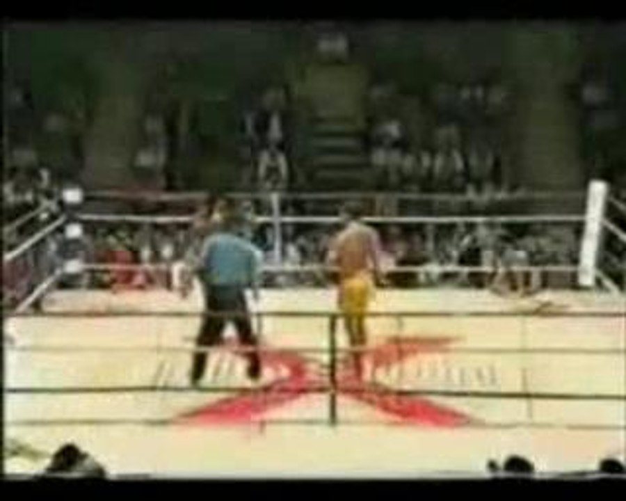 Buakaw Por Pramuk HL (by Colargol) v.2