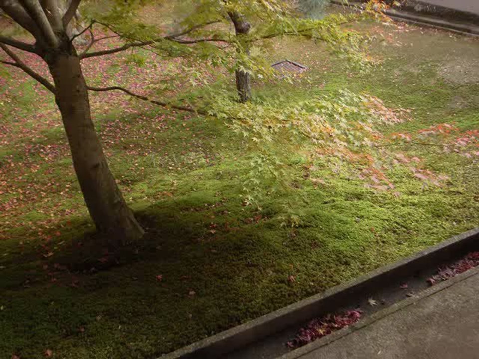 Video_00001