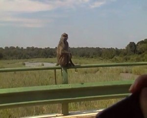 Remake de la pub ESSO