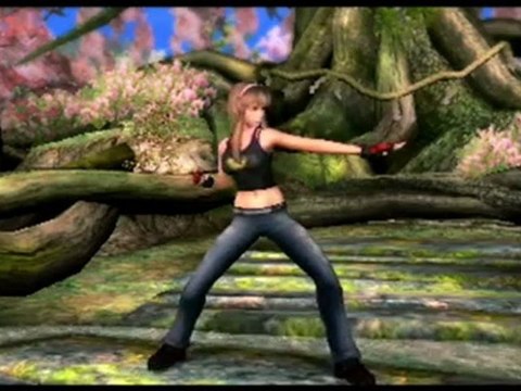 Dead or Alive Dimensions 3DS