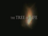 The Tree of Life - Terrence Malick - Trailer n°2 (VOSTFR/HD)