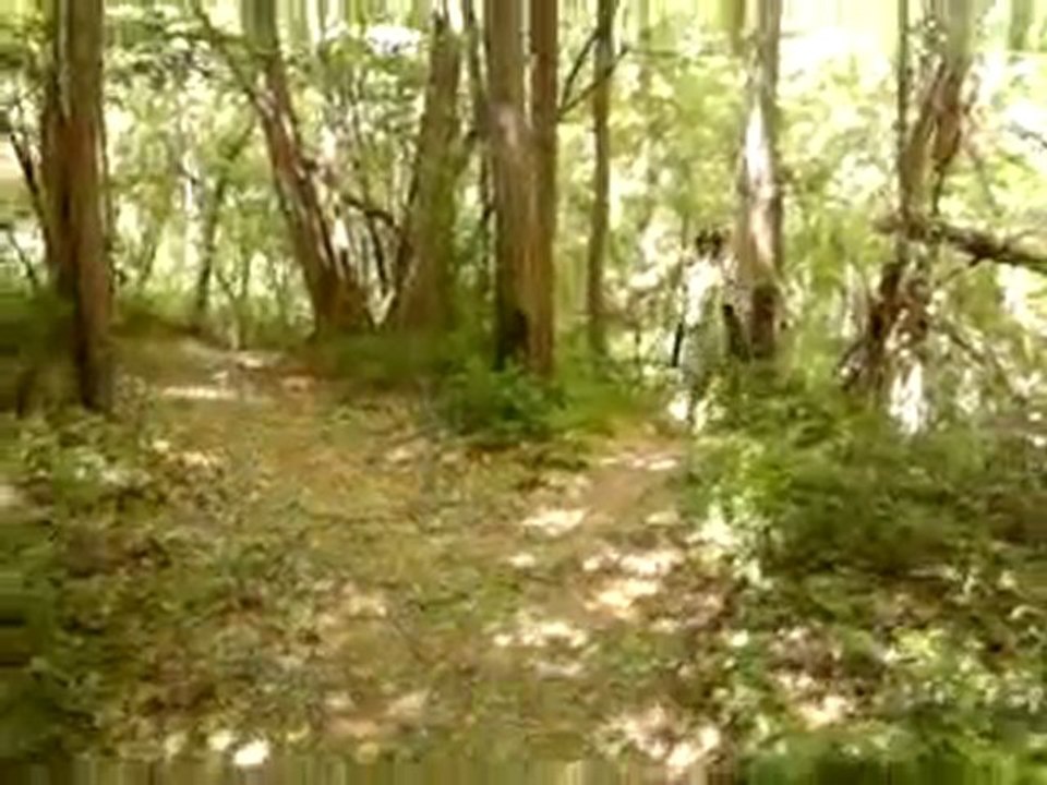 monter avec kiki