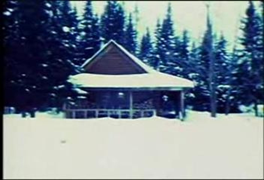 Les Trois Accords - Hawaienne