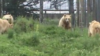 Hayvanat Bahçesi ve Botanik Park Gezisi- Korkmayın! Doğadasınız ...