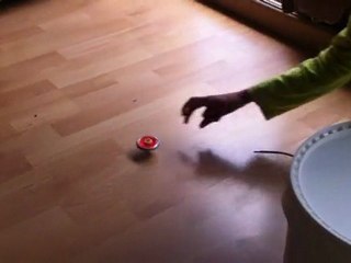 cyber pegasus contre burn fireblaze de Lucas M