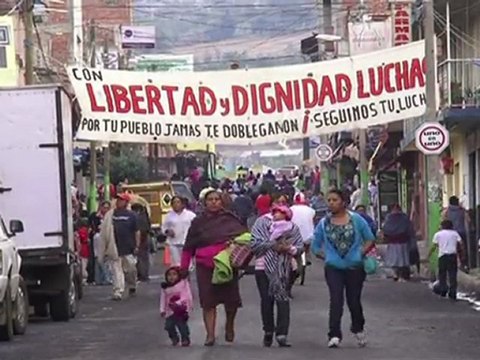 Arabic-Web-Les cartels mexicains s'attaquent aux forêts