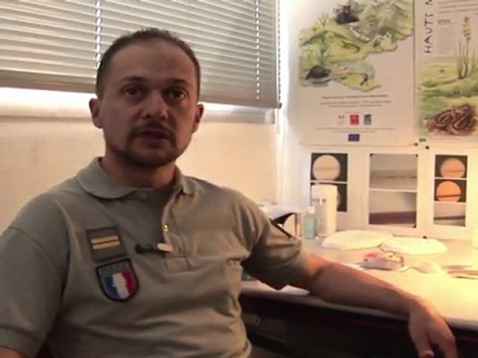 Arabic-Web-Pyrénées: la difficile mission des "pisteurs" d'ours