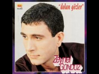 Zeynel GÜNDÜZ_Dünya dünya
