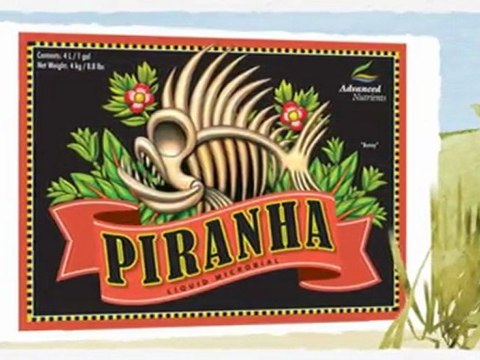 Hydroponics Products Halifax | What Are Root Boosters