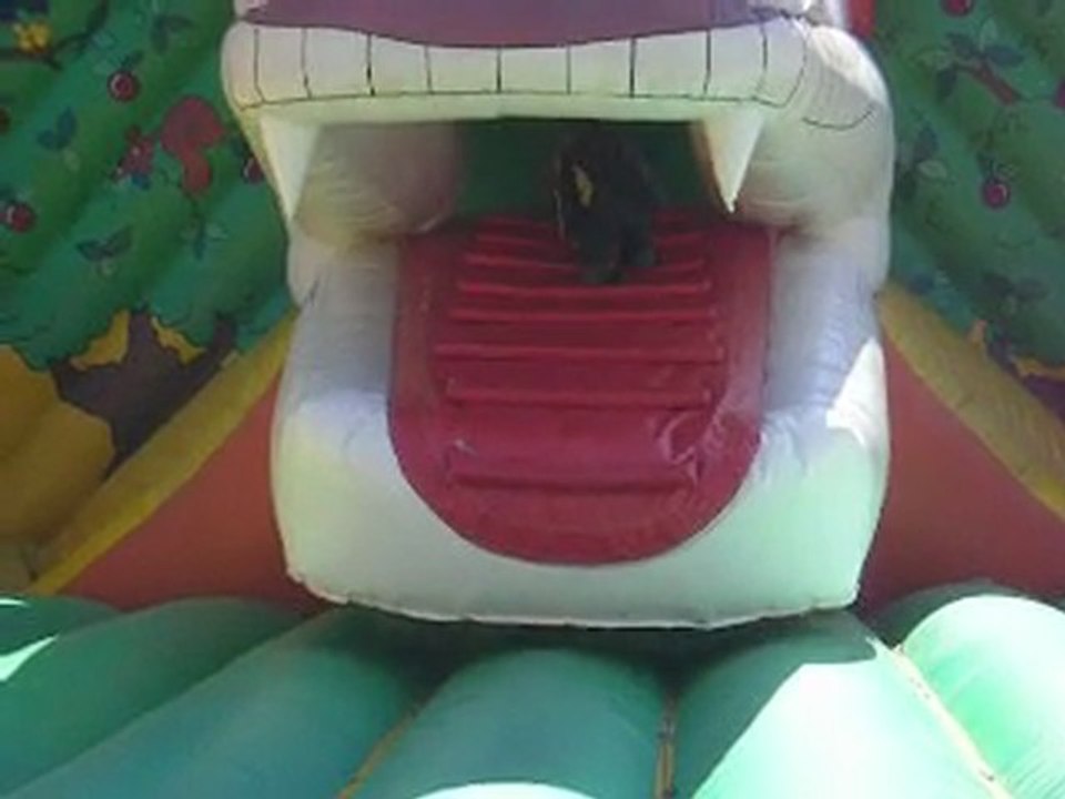 pirates