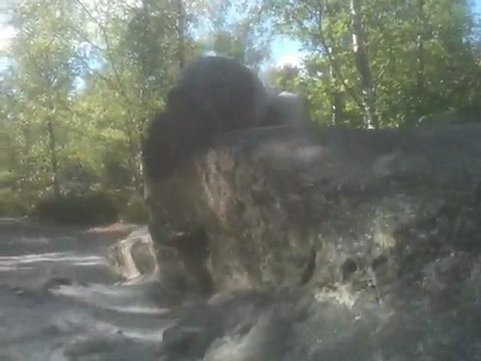 Simon escalade