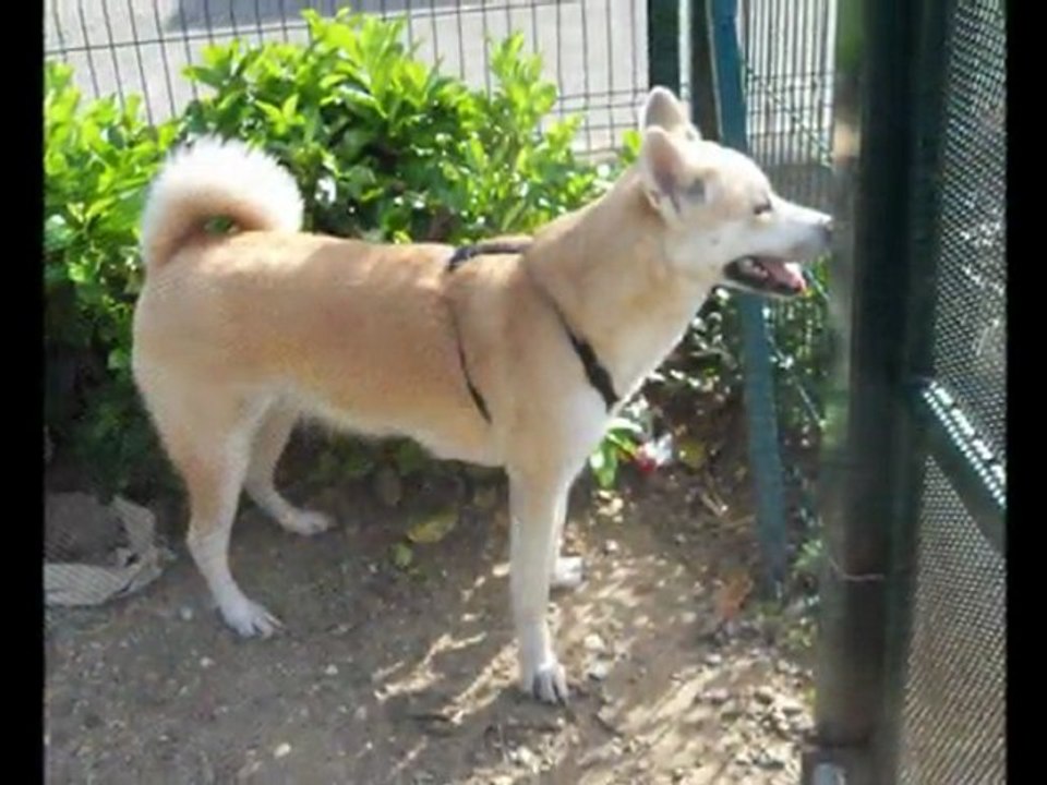 Diapo photos de Tess le 13 05 11