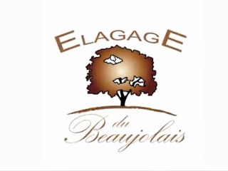 Elagage du Beaujolais