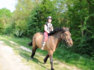 ninja, mon poons