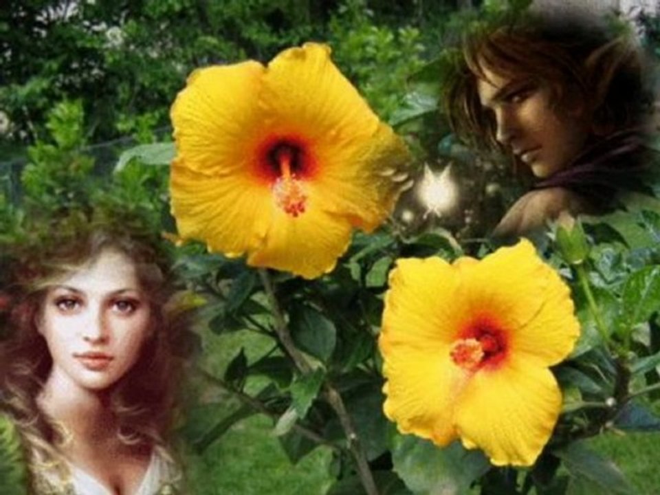 amitie_et_bonheur