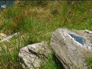 Romanian Carpatian Mountain 2011