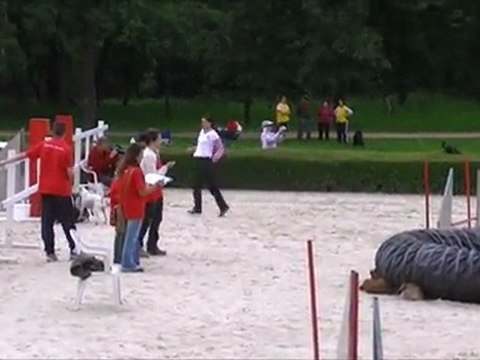 1ère manche trophée staffies