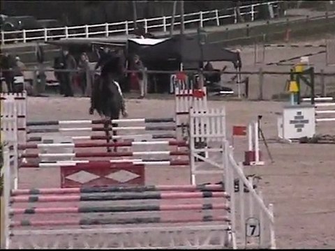 Suzipop Givroux 16 mars 2011 CSO 5 ans A Mantes St Martin