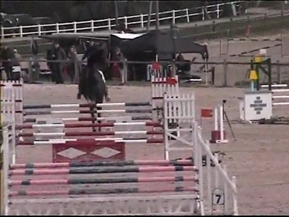 Suzipop Givroux 16 mars 2011 CSO 5 ans A Mantes St Martin