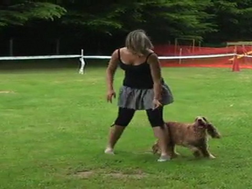 Toupy concours obr la côte 2011