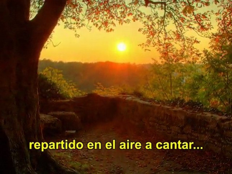 cancion para no morir