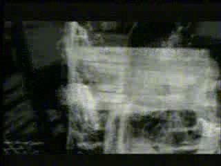 Lootpack & Quasimoto