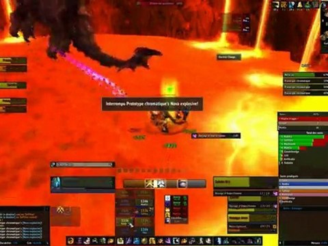 Down Nefarian 10 par les Lémuriens Sanguinaires