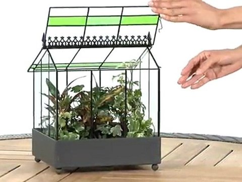 Terrariums – The Wardian Case Terrarium